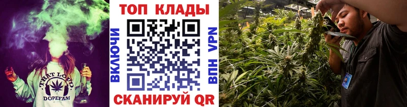 Виды наркотиков купить Губаха Каннабис А ПВП ГАШИШ Меф КОКАИН