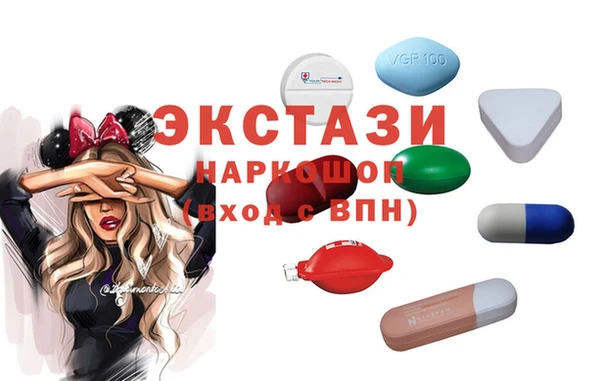 индика Снежногорск