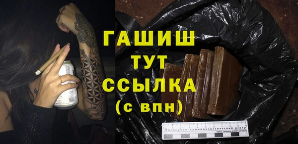 индика Снежногорск