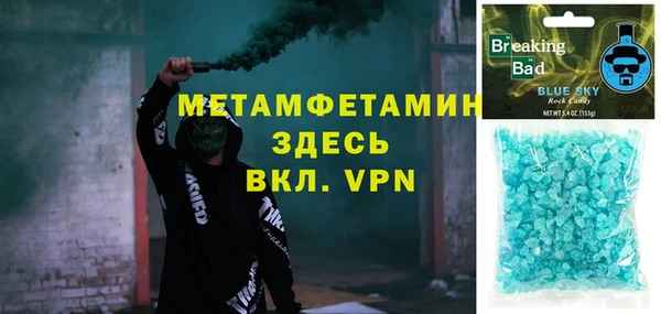 индика Снежногорск