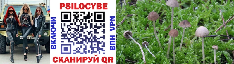 Псилоцибиновые грибы Magic Shrooms  Губаха 
