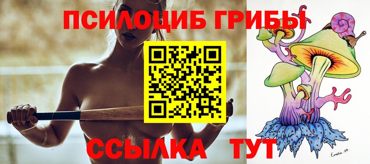 Галлюциногенные грибы Psilocybe Губаха
