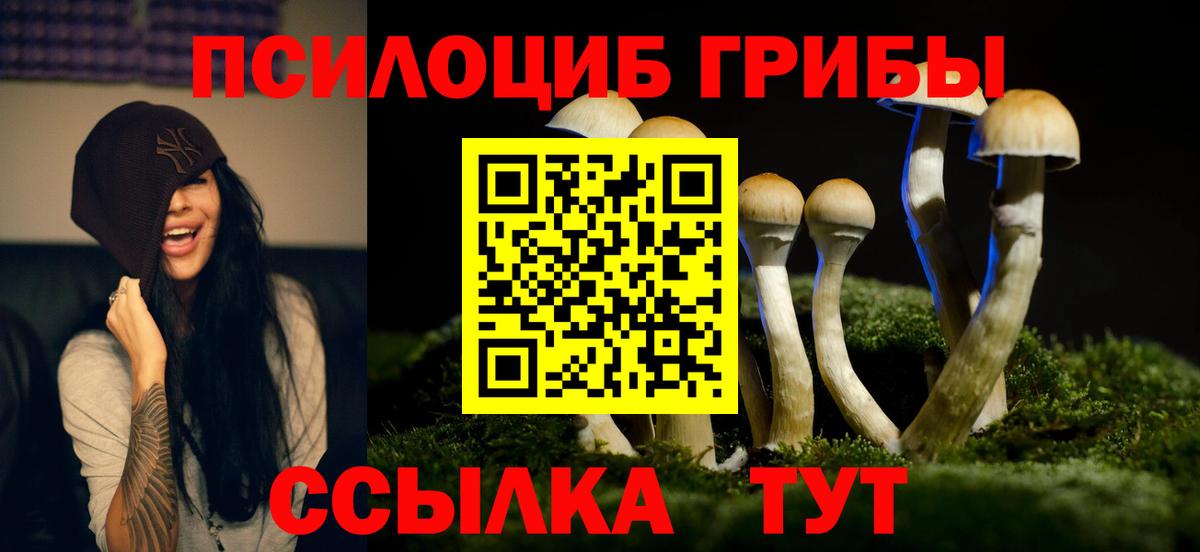 Псилоцибиновые грибы MAGIC MUSHROOMS  Вход с VPN  Губаха 